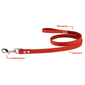 Smycz Skórzana Dla Psa Dino 2,5cm/120cm